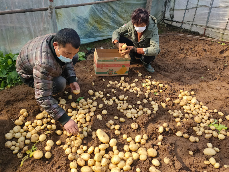 f3c1db139527196e55f411c1f07f7f6_meitu_1.jpg